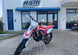 Honda CRF 300 RX Enduro (2021) usata