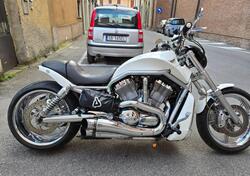 Harley-Davidson 1130 V-Rod (2002 - 05) - VRSCA usata