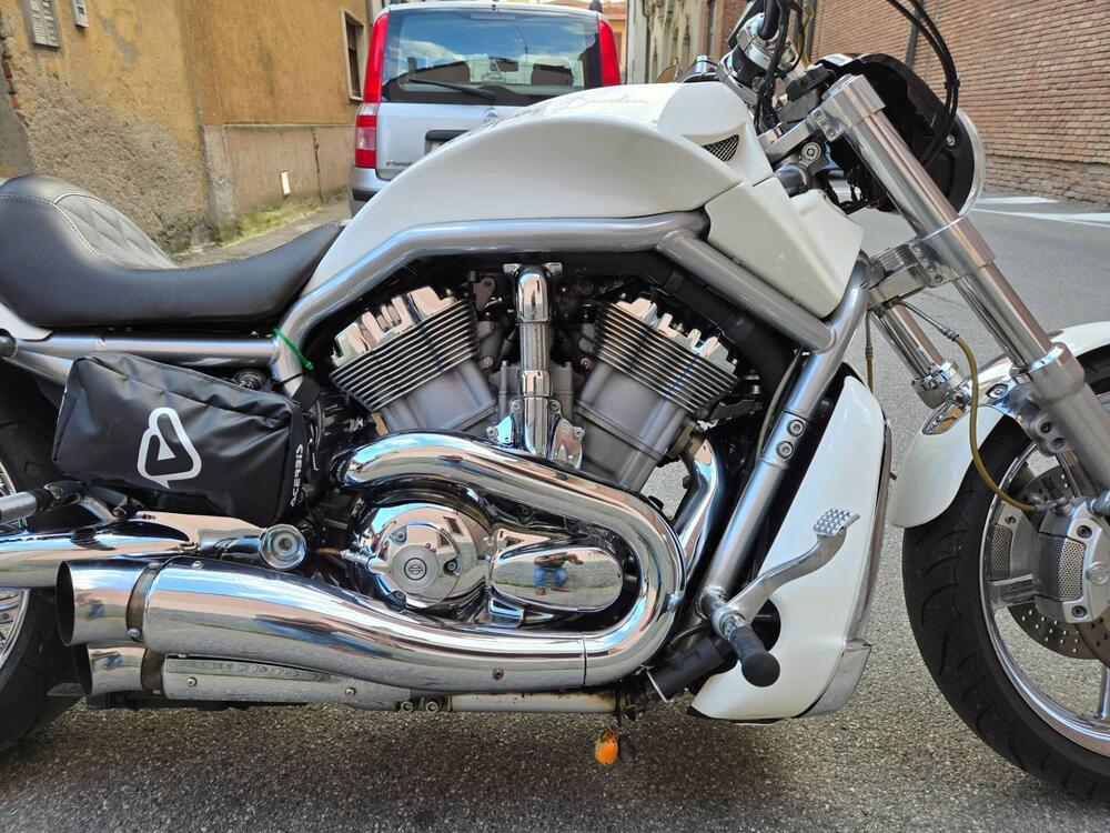 Harley-Davidson 1130 V-Rod (2002 - 05) - VRSCA (3)