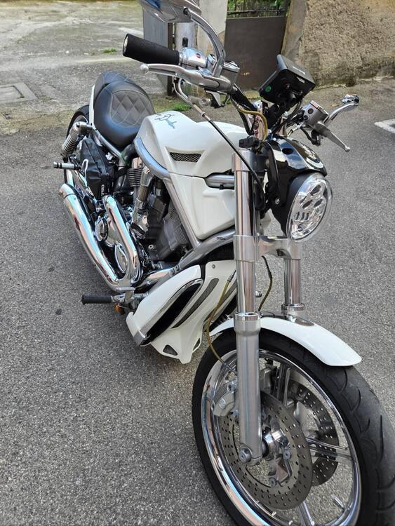 Harley-Davidson 1130 V-Rod (2002 - 05) - VRSCA (5)