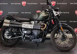 Triumph Street Scrambler 900 (2021 - 22) usata