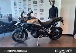Triumph Tiger 1200 GT Pro (2024 - 25) usata