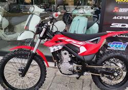 Montesa 4 Ride 260 (2022 - 24) usata