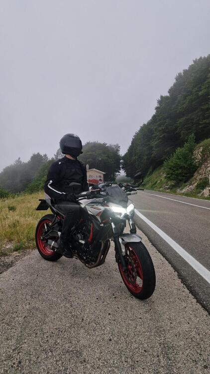 Kawasaki Z 650 (2021 - 24) (5)