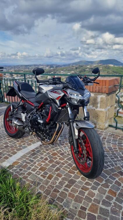 Kawasaki Z 650 (2021 - 24)