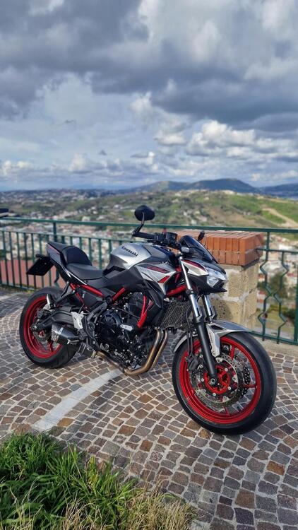 Kawasaki Z 650 (2021 - 24) (3)