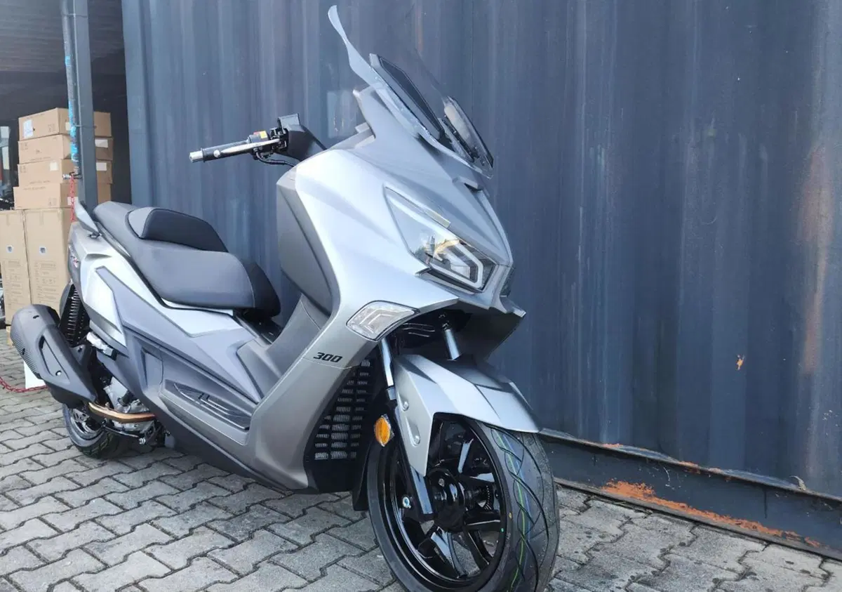 Sym Joymax 300 Z (2025 - 26) (3)