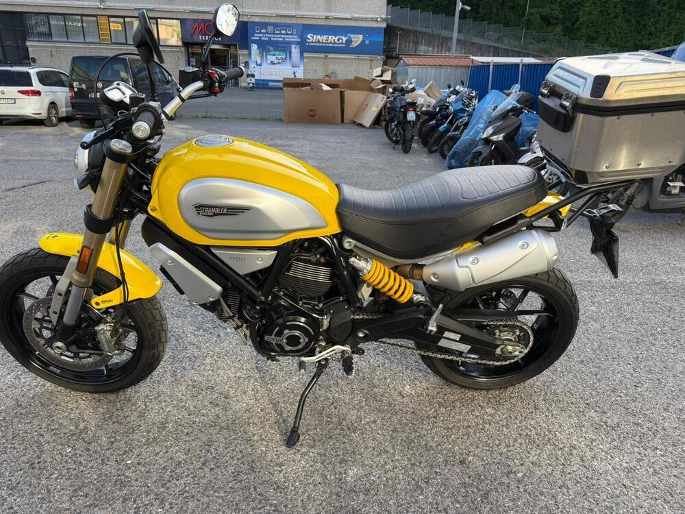 Ducati Scrambler 1100 (2018 - 20) (5)