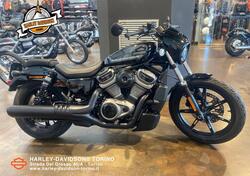 Harley-Davidson Nightster (2023 - 25) usata
