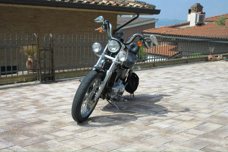Harley-Davidson Sportster (9)