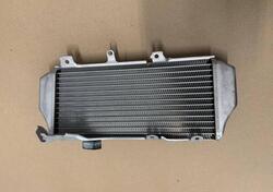 RADIATORE SINISTRO HONCA CRF 450 R/RX 2017-2020 Honda
