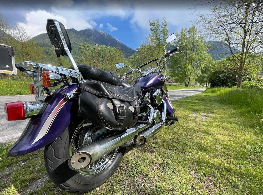 Kawasaki VN 800 Classic (2001 - 06) (2)