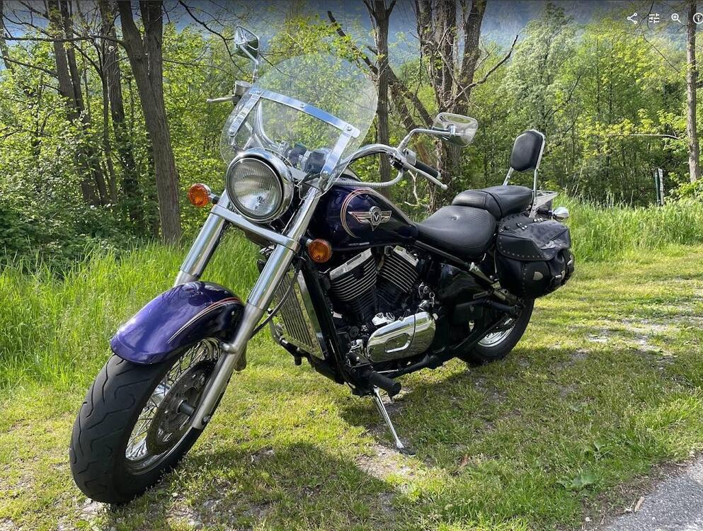 Kawasaki VN 800 Classic (2001 - 06) (3)