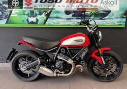 Ducati Scrambler 800 Icon (2021 - 22) usata