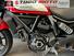 Ducati Scrambler 800 Icon (2021 - 22) (8)