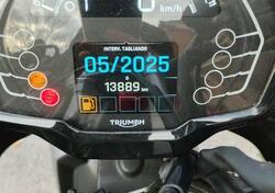 Triumph Tiger Sport 660 (2022 - 24) usata