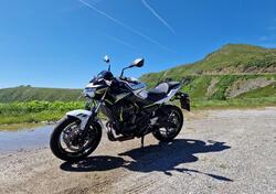 Kawasaki Z 650 (2020) usata