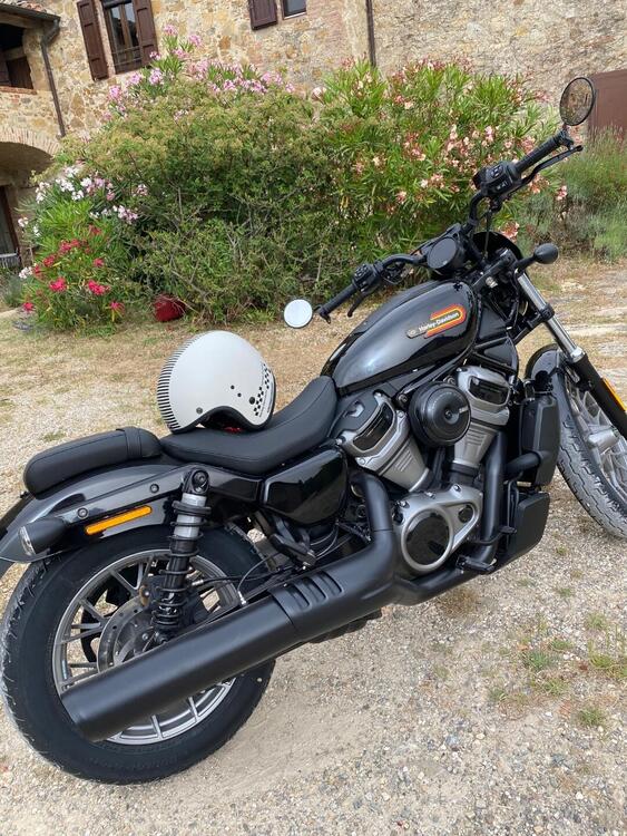 Harley-Davidson Nightster (2023 - 25) (3)