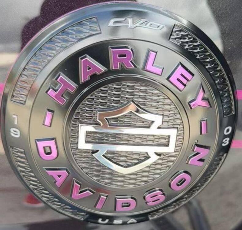 Harley-Davidson CVO Road Glide (2025) (2)