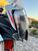 KTM 1290 Super Adventure R (2021) (7)