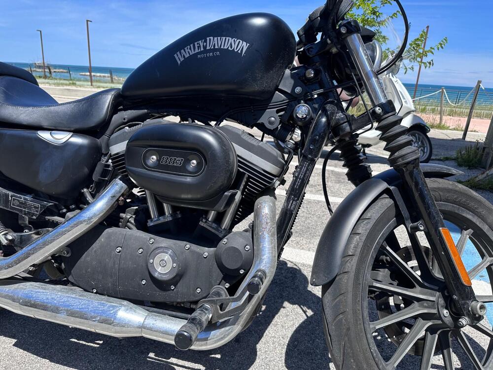 Harley-Davidson 883 Iron (2012 - 14) - XL 883N (2)
