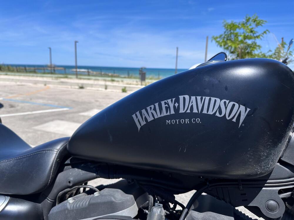 Harley-Davidson 883 Iron (2012 - 14) - XL 883N (3)
