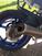 Yamaha YZF R6 (2017 - 20) (14)