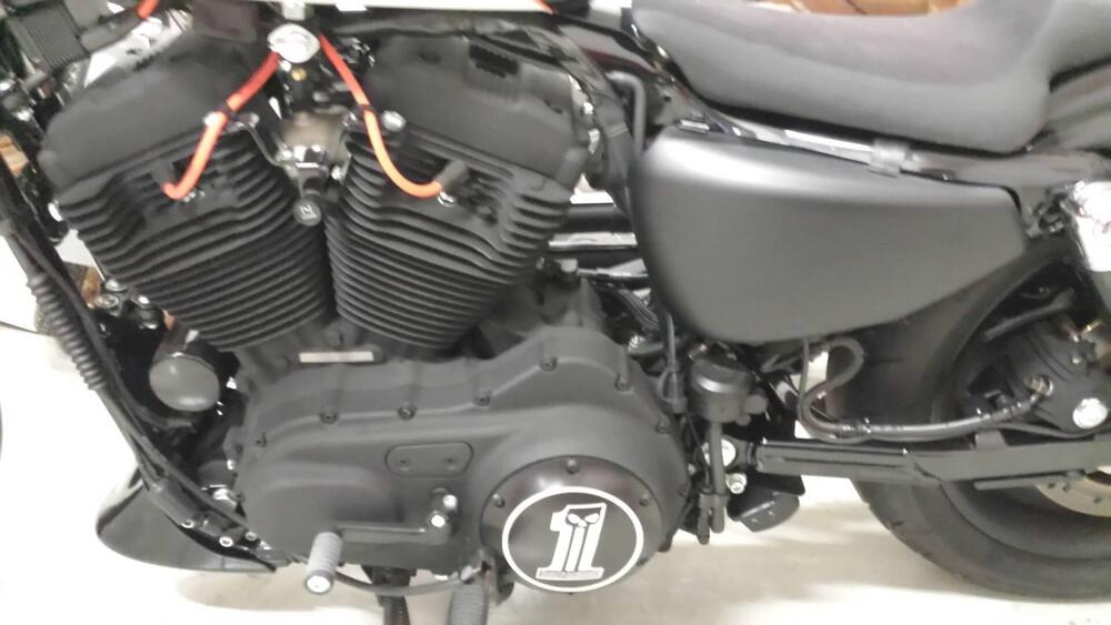 Harley-Davidson 883 Low (2006 - 07) - XL 883L (3)
