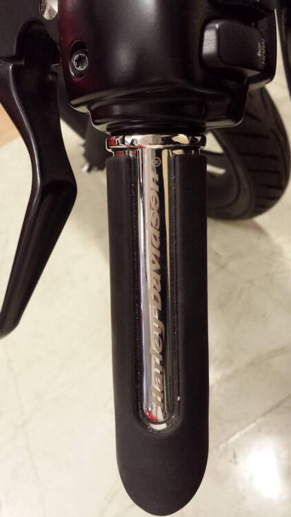Harley-Davidson 883 Low (2006 - 07) - XL 883L (4)