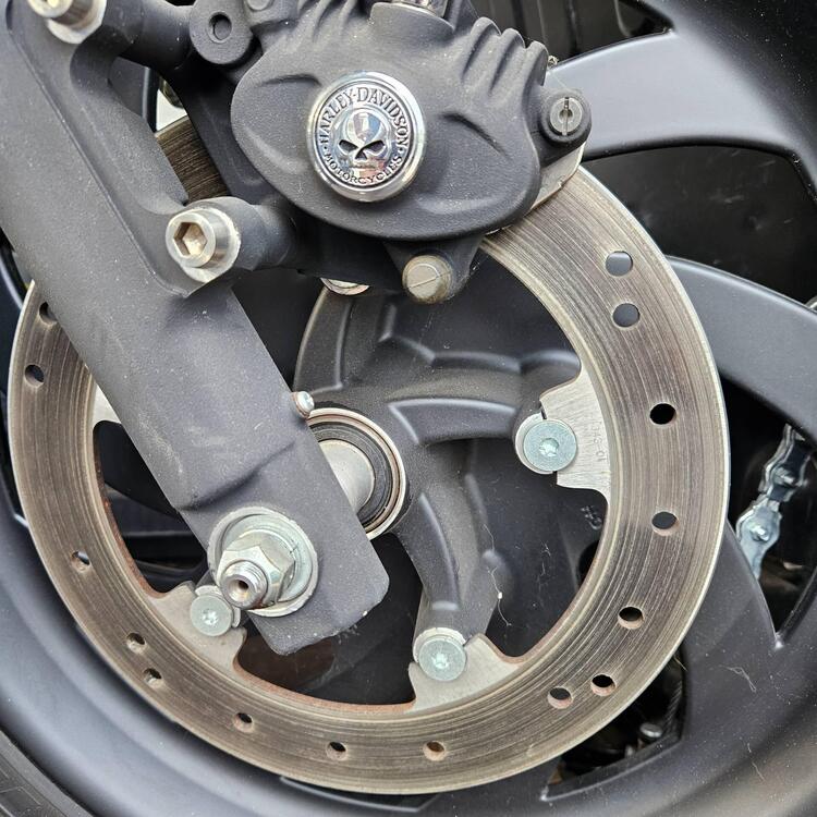 Harley-Davidson 883 Low (2006 - 07) - XL 883L (5)