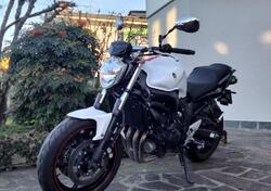 Yamaha FZ6 S2 (2007 - 11) usata