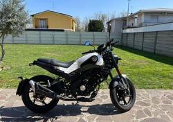 Benelli Leoncino 125 (2022 - 25) usata