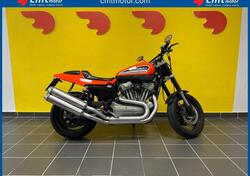 Harley-Davidson 1200 XR (2009 - 12) usata