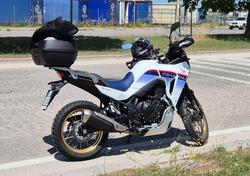 Honda Transalp XL750 (2023 - 24) usata