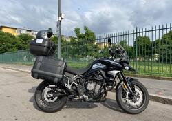 Triumph Tiger 900 GT Pro (2020 - 23) usata