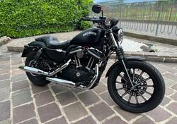 Harley-Davidson 883 Iron (2012 - 14) - XL 883N usata