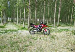 Honda CRF 300 Rally (2021 - 24) usata