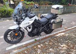 Triumph Tiger 800 XRx (2018 - 20) usata