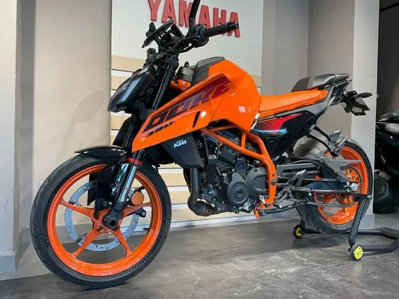 KTM 390 Duke (2024 - 25) (4)