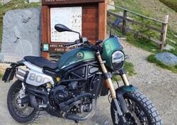 Benelli Leoncino 800 Trail (2022 - 25) usata