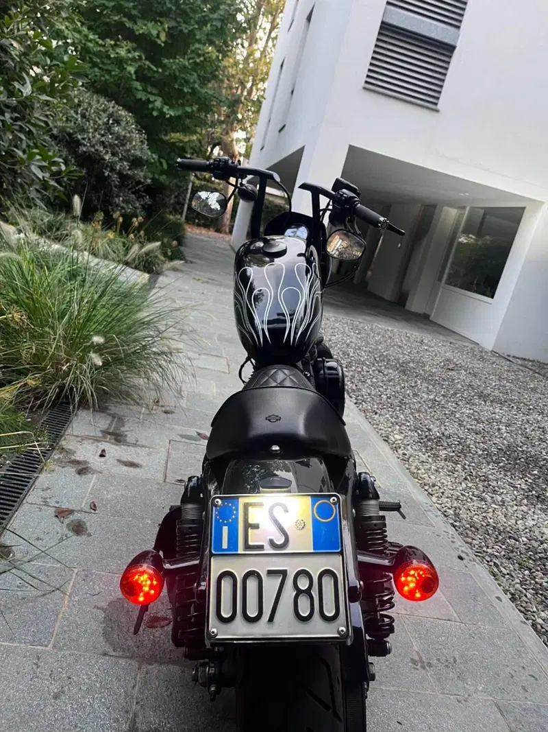 Harley-Davidson 1200 Iron (2018 - 20) - XL1200N (7)