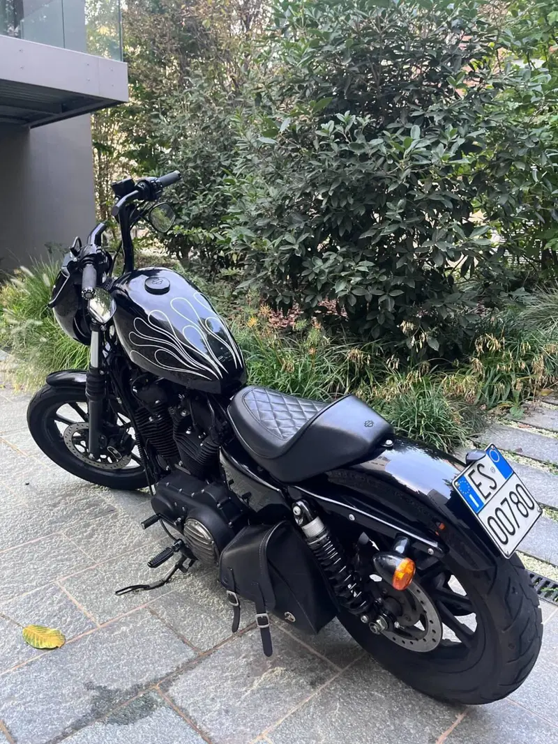Harley-Davidson 1200 Iron (2018 - 20) - XL1200N (17)
