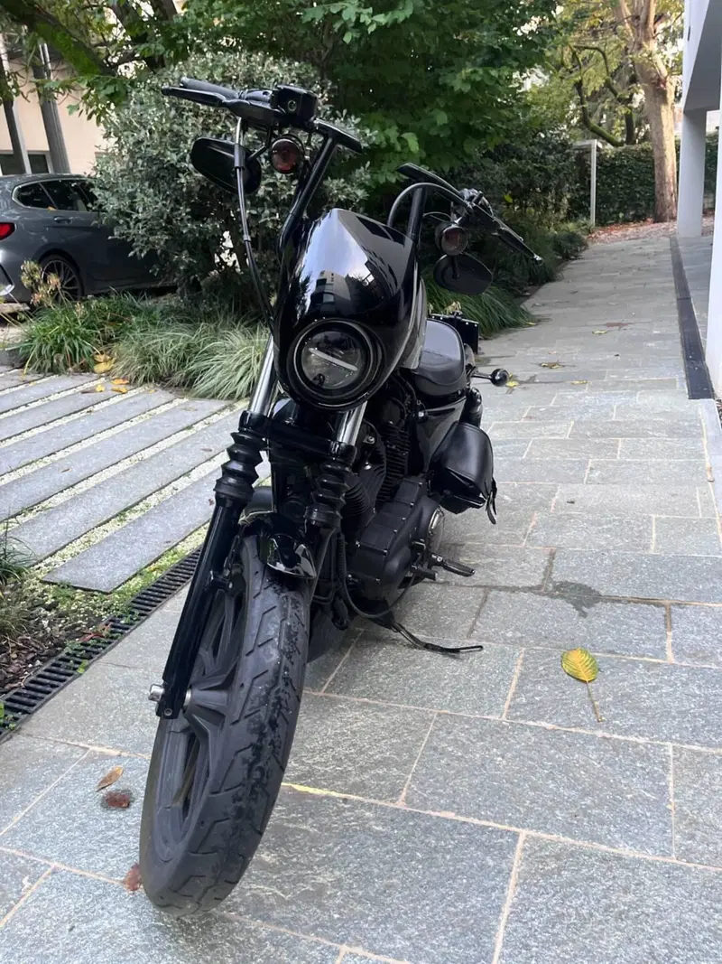 Harley-Davidson 1200 Iron (2018 - 20) - XL1200N (18)
