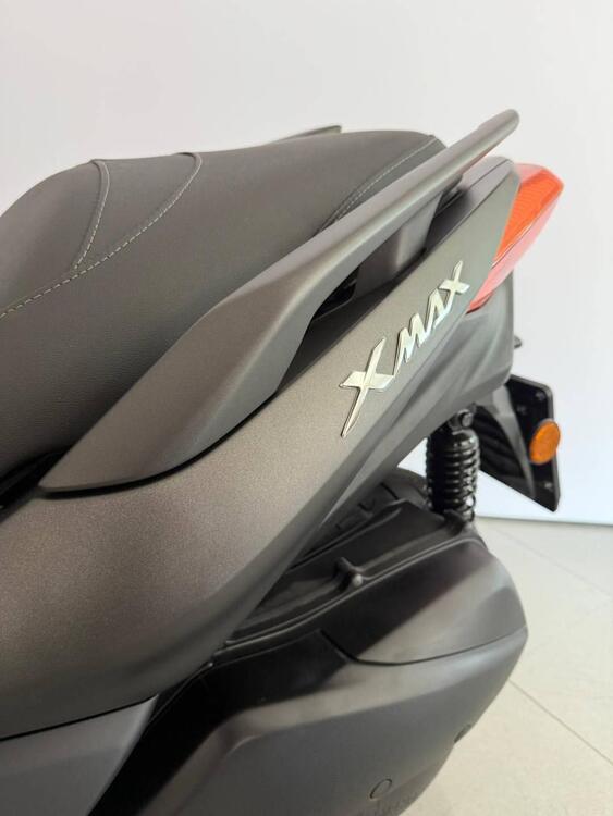 Yamaha X-Max 300 ABS (2017 - 20) (2)