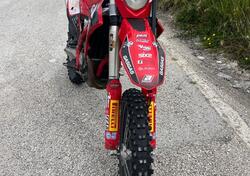 GASGAS EC 350 F (2021) usata