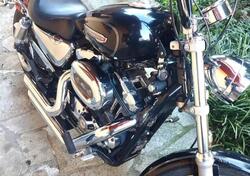 Harley-Davidson 1200 Custom (2007 - 13) - XL 1200C usata