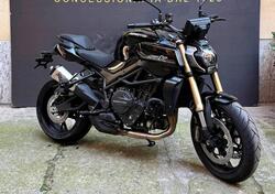 QJ Motor SRK 900 (2025) nuova