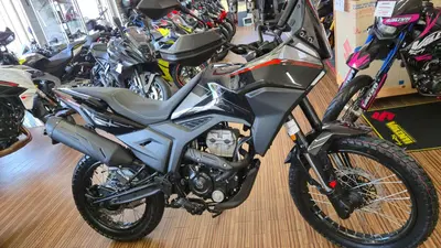 Morbidelli T125X (2025 - 26) nuova