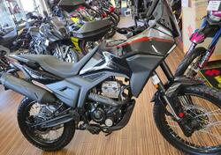 Morbidelli T125X (2025) nuova