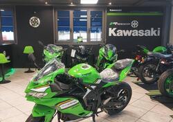 Kawasaki Ninja ZX-4RR (2024 - 25) usata